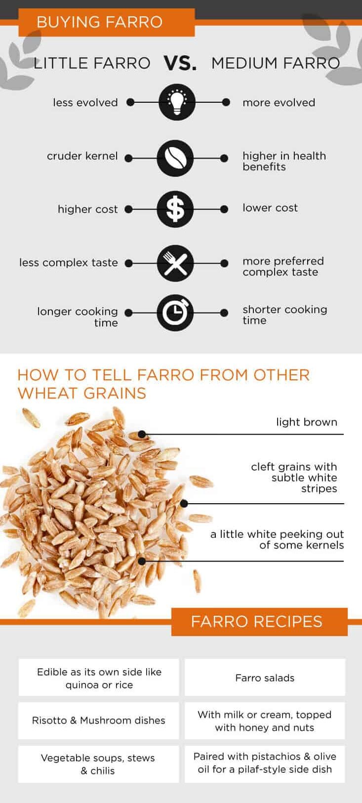 Farro recipes - Dr. Axe