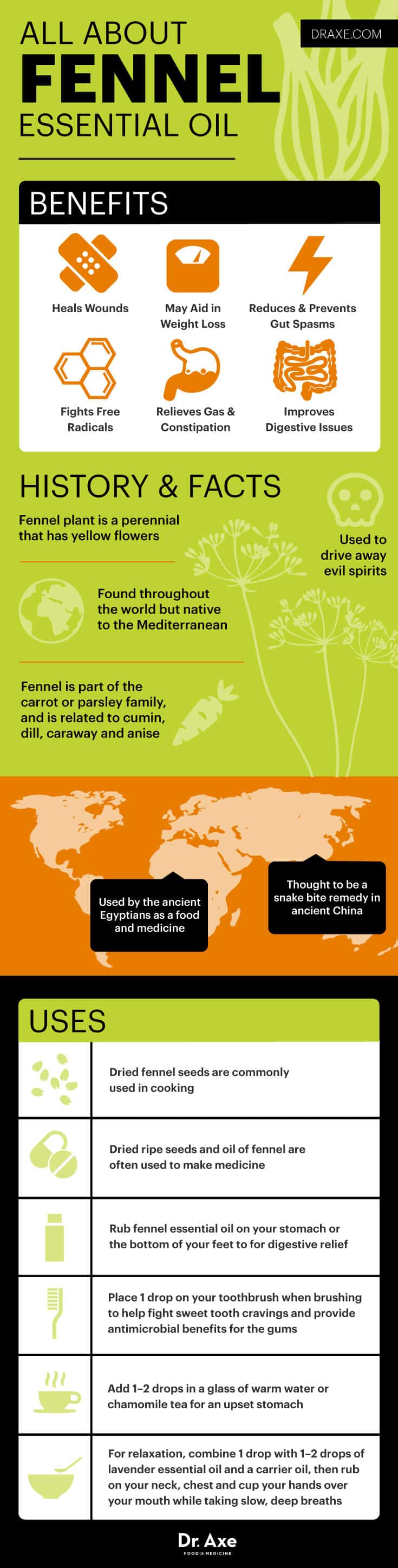 All about fennel essential oil - Dr. Axe